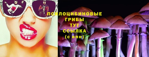 герыч Арсеньев