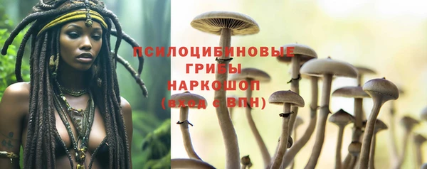 СК Переславль-Залесский