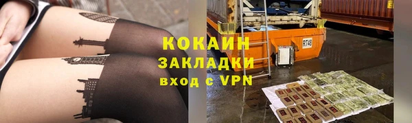 стаф Аркадак