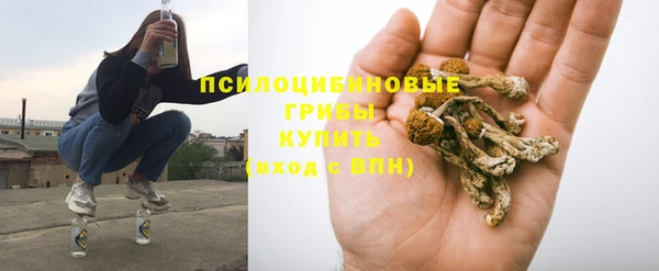 герыч Арсеньев