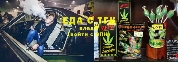 стаф Аркадак