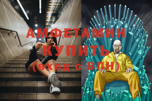стаф Аркадак