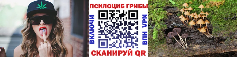 Галлюциногенные грибы MAGIC MUSHROOMS  даркнет сайт  блэк спрут онион  Онега 